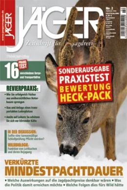 Featured Article