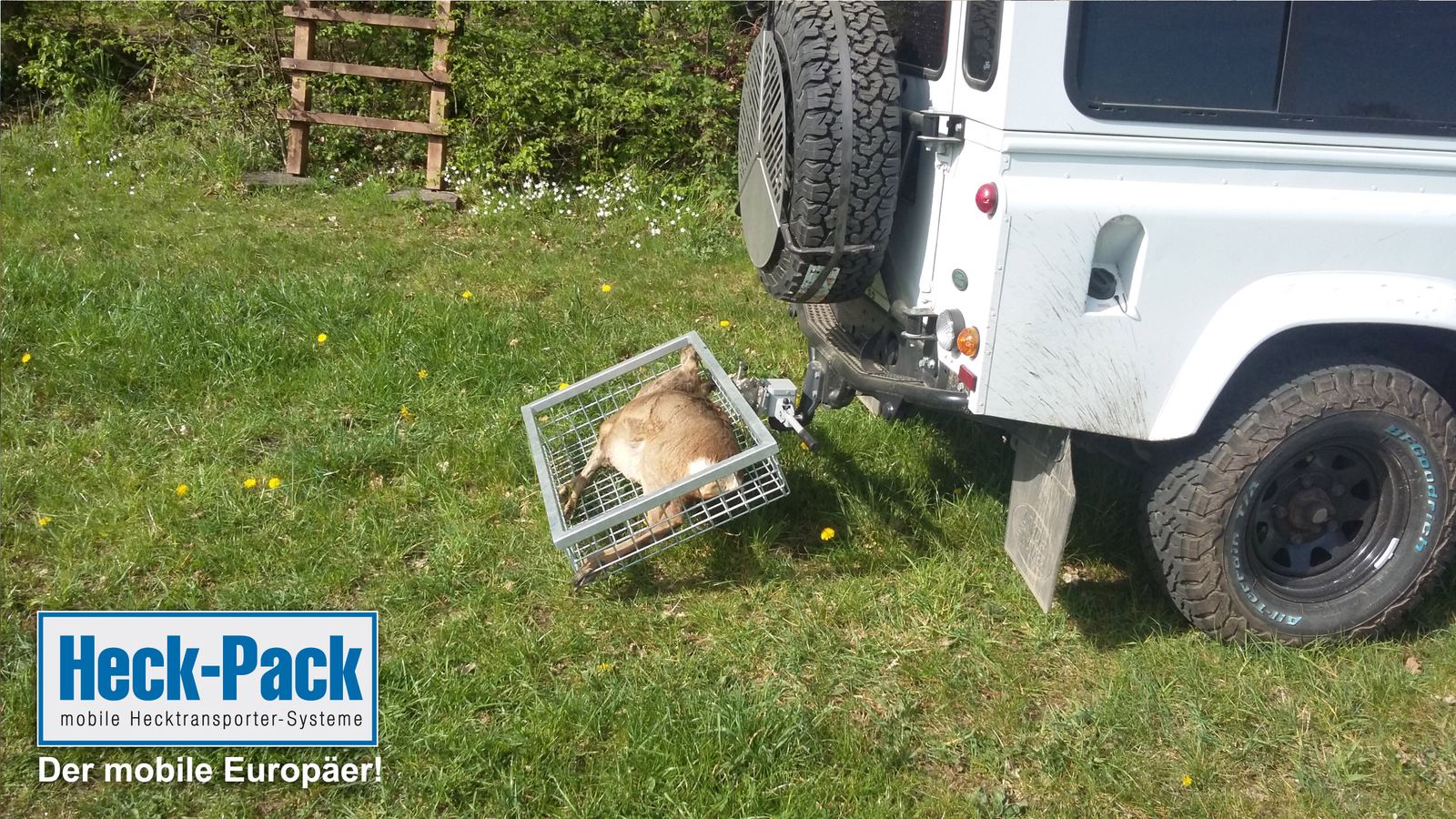 Absenkvorrichtung für Hecktransporter, komplett aus Edelstahl – Bild 4