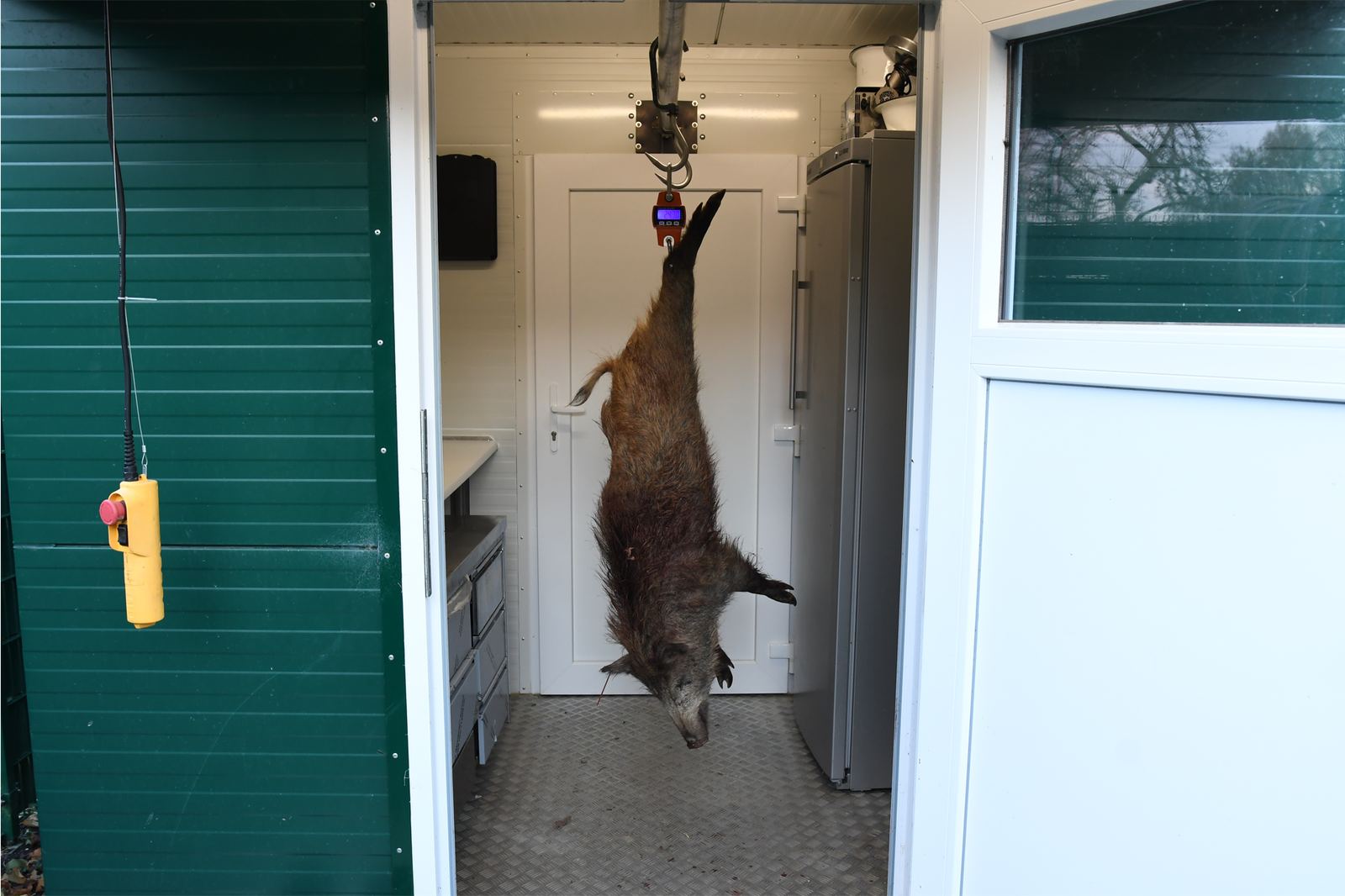 Digitale Wildwaage bis 300kg – Bild 6